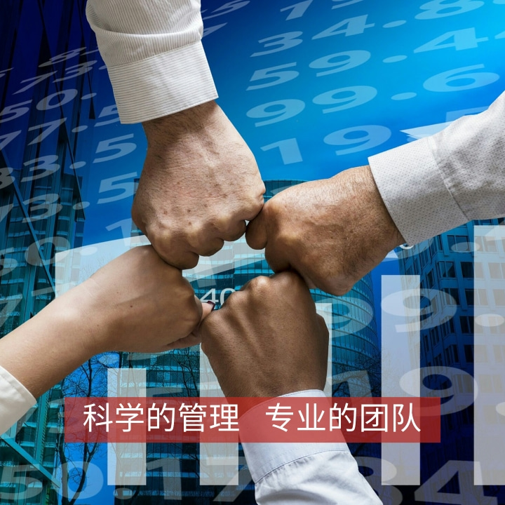 專業(yè)的團(tuán)隊(duì)